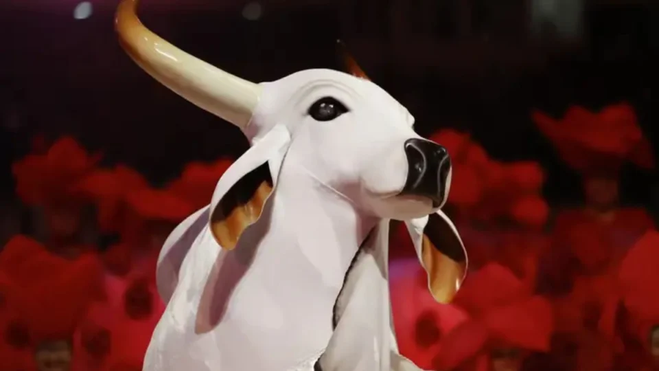 Boi Garantido vence Festival de Parintins 2025 e leva trófeu para o curral; veja vídeos da comemoração