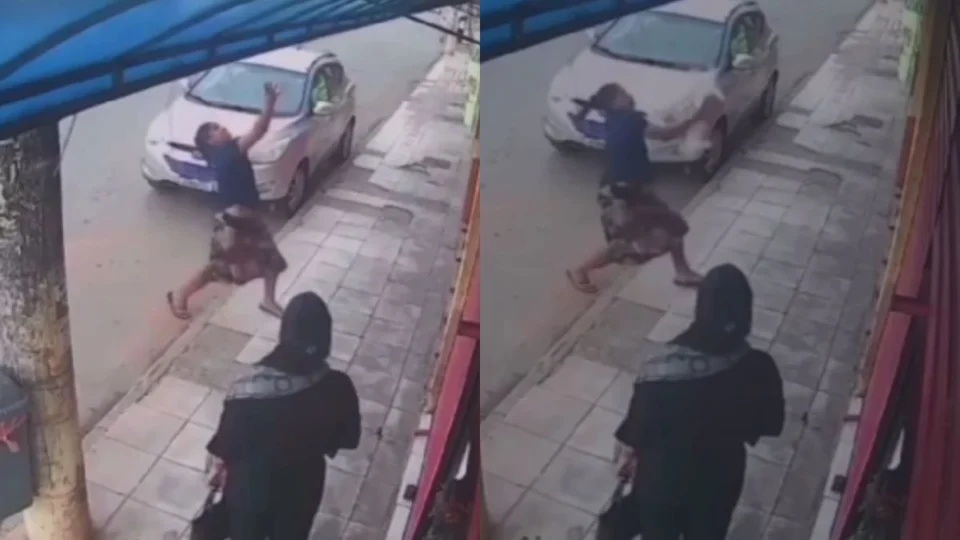 VÍDEO: cachorro cai da varanda de prédio e é salvo por mulher no DF