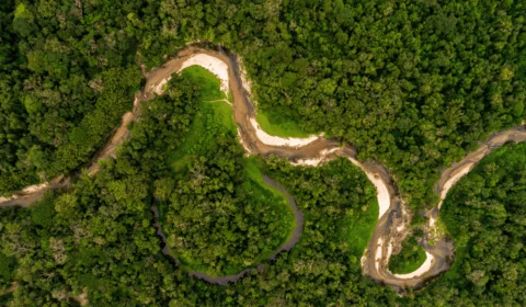 Lula assina decreto que promete ampliar as ‘Áreas Protegidas da Amazônia’