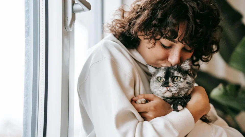 Dia de Abraçar seu Gato: já abraçou seu bichano hoje?
