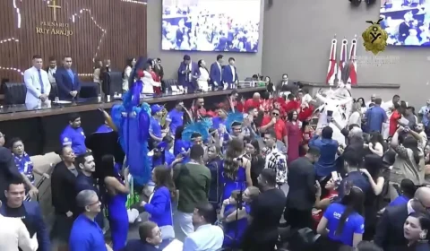 Festival de Parintins 2025 é homenageado na Aleam com destaque para geração cultura e renda