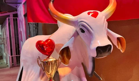 Território rival? Garantido ‘invade’ o Palmares e vence concurso ‘Minha Rua Enfeitada para o Festival’