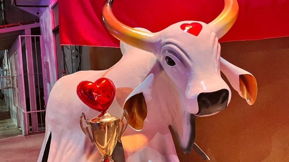 Território rival? Garantido ‘invade’ o Palmares e vence concurso ‘Minha Rua Enfeitada para o Festival’