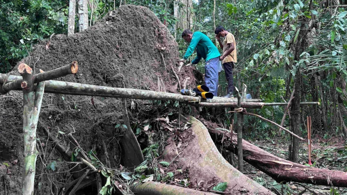Mistério no Amazonas - Foto: Geórgea Holanda