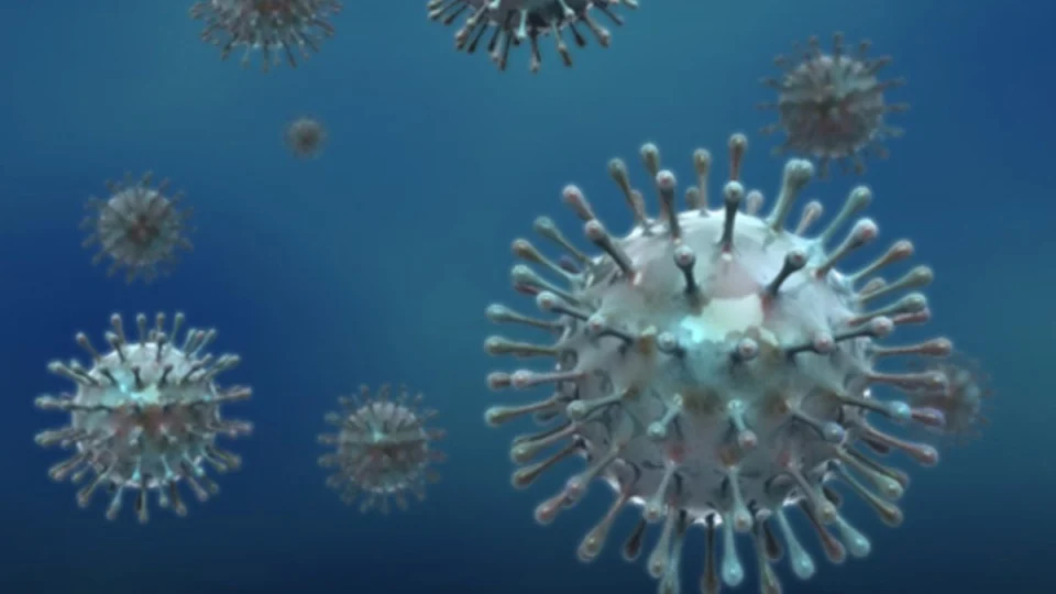 Porto Velho enfrenta aumento expressivo de síndromes respiratórias por Influenza; saiba como se proteger