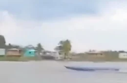 Rabeta ‘mal-assombrada’ corre sozinha em rio e vídeo de arrepiar viraliza na internet; veja