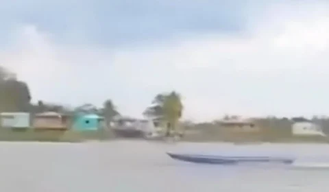 Rabeta ‘mal-assombrada’ corre sozinha em rio e vídeo de arrepiar viraliza na internet; veja