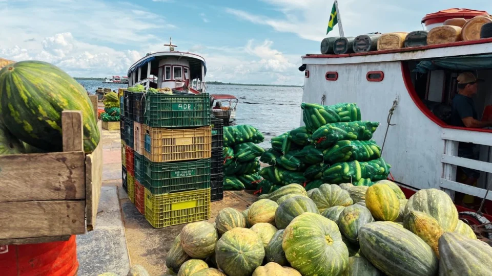 Dança das águas: o impacto da cheia e da seca na economia alimentar do Amazonas