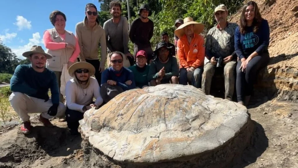 Fóssil de tartaruga gigante de 13 milhões de anos é descoberto no Acre por pesquisadores