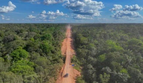 BR-319: TCU rejeita pedido de anulação de licença ambiental; veja o que acontece agora