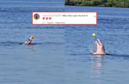 VÍDEO: Boto cor-de-rosa é flagrado brincando de bola em rio no Amazonas e viraliza nas redes