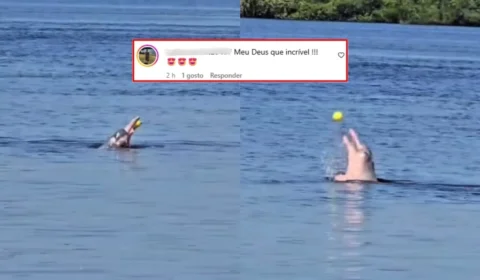 VÍDEO: Boto cor-de-rosa é flagrado brincando de bola em rio no Amazonas e viraliza nas redes