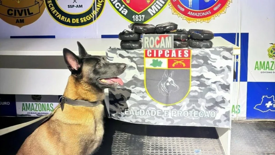Cadela policial encontra drogas avaliadas em R$ 627 mil em barco no interior do Amazonas