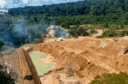 Garimpo ilegal na Amazônia: pesquisa denuncia violência, doenças e condições de vida precárias