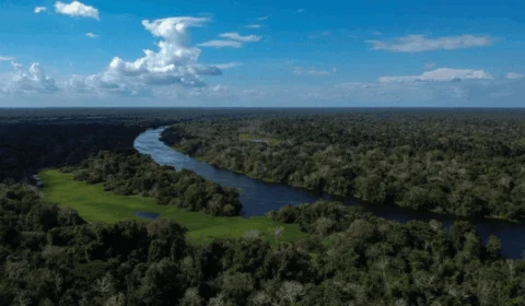 Investimento para salvar a Amazônia é só 3% do necessário, alerta novo roteiro