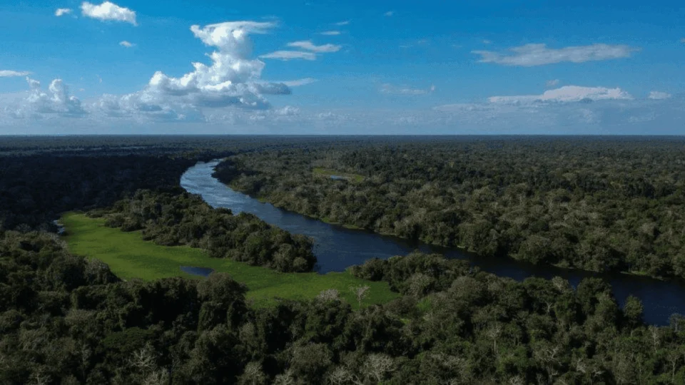 Investimento para salvar a Amazônia é só 3% do necessário, alerta novo roteiro