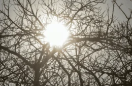 Chuvas e clima seco convivem no Norte, que entra em alerta de umidade