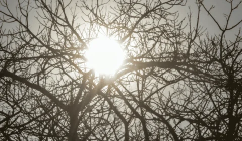 Chuvas e clima seco convivem no Norte, que entra em alerta de umidade