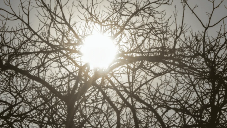 Chuvas e clima seco convivem no Norte, que entra em alerta de umidade