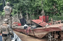 PF combate garimpo ilegal e resgata animais ameaçados no AM