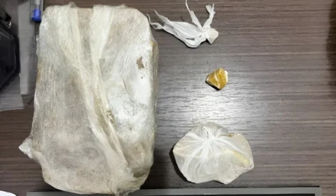 Polícia encontra drogas enterradas em bananeira na zona oeste de Boa Vista