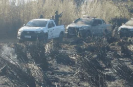 Empresa responsável por grave incêndio ambiental em Cariri (TO) é multada em R$ 60 mil