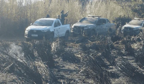 Empresa responsável por grave incêndio ambiental em Cariri (TO) é multada em R$ 60 mil