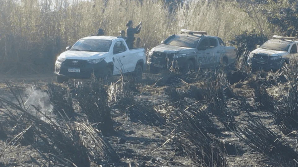 Empresa responsável por grave incêndio ambiental em Cariri (TO) é multada em R$ 60 mil