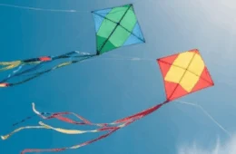 Festival de Pipas na Praia da Graciosa (TO) une lazer e segurança nas férias; confira