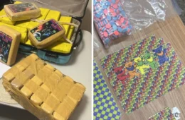 Polícia desarticula grupo criminoso envolvido em tráfico interestadual de drogas