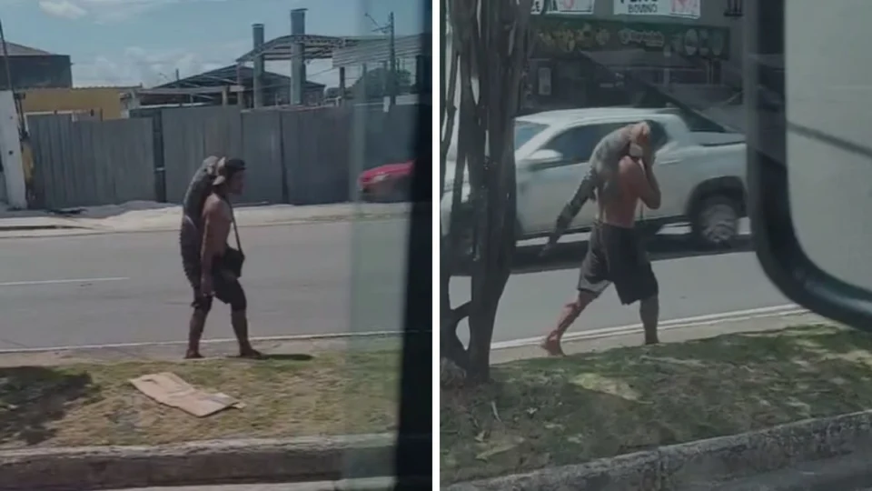 Homem é flagrado carregando jacaré pelas ruas de Manaus; veja vídeo