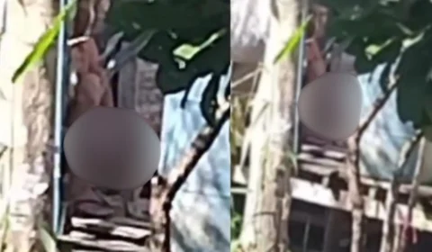 Homem é flagrado abusando de cadela no interior do Amazonas; caso gera revolta