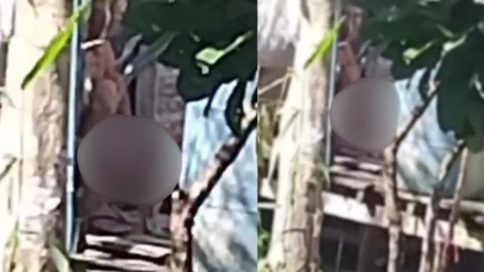 Homem é flagrado abusando de cadela no interior do Amazonas; caso gera revolta