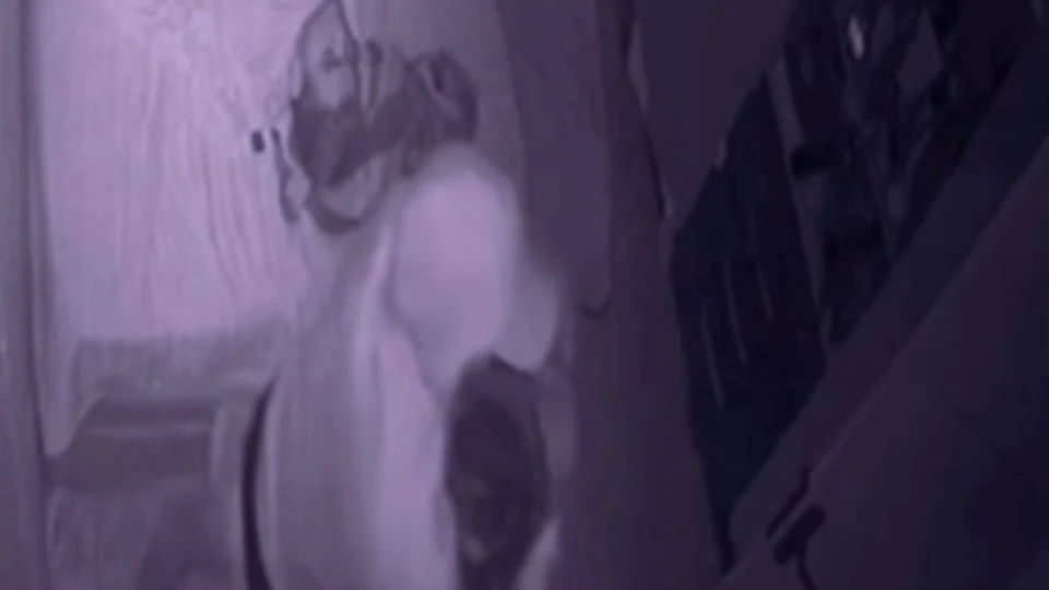 Homem invade casa e agride mulher grávida enquanto ela dormia ao lado do marido no Amazonas