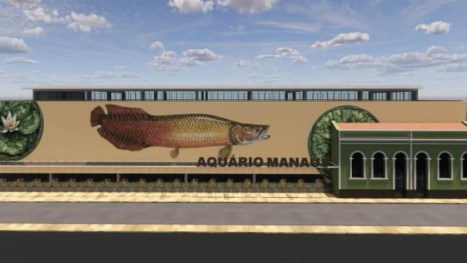 Aquário municipal com espécies amazônicas será construído no Centro de Manaus