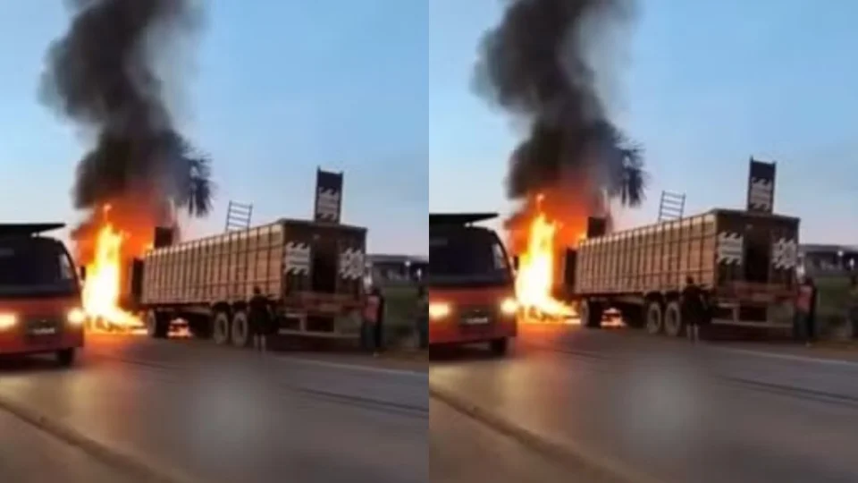 VÍDEO: Caminhão boiadeiro pega fogo na BR-319 e animais fogem para se salvar