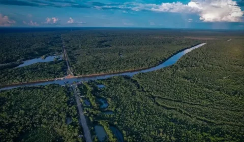 Rota que liga Amazônia ao Pacífico será concluída em setembro, diz Tebet