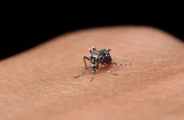 Acre registra 8,5 mil casos de dengue em 2025 e sobe bandeira de alerta no estado