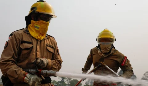 Amazonas registra queda de 67% nos focos de calor no primeiro semestre de 2025
