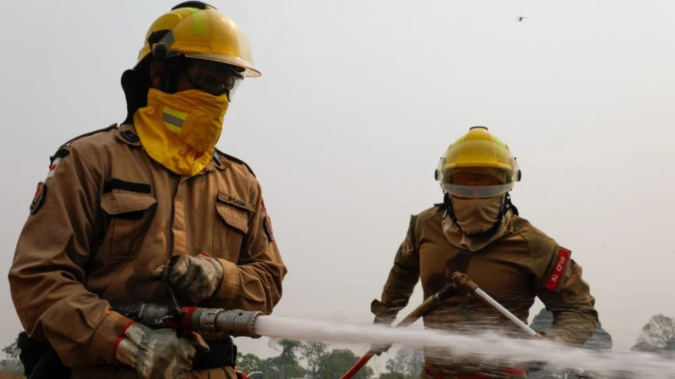 Amazonas registra queda de 67% nos focos de calor no primeiro semestre de 2025