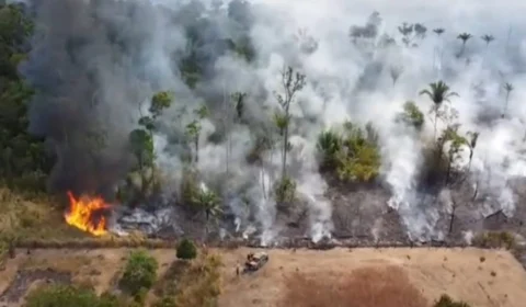 Rondônia registra incêndio de grandes proporções próximo à BR-319 e aciona a Força Nacional