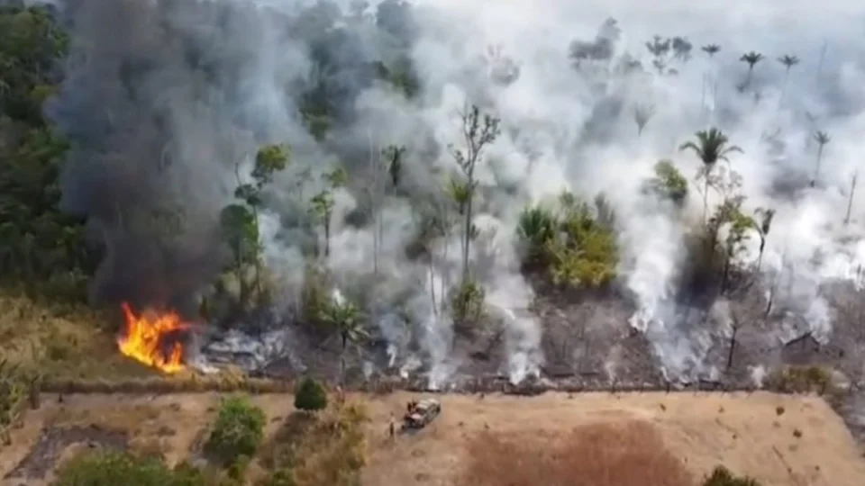 Rondônia registra incêndio de grandes proporções próximo à BR-319 e aciona a Força Nacional