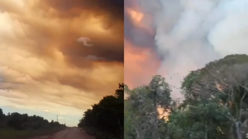 Fumaça do interior pode atingir Manaus: queimadas voltam a ameaçar comunidades no Amazonas