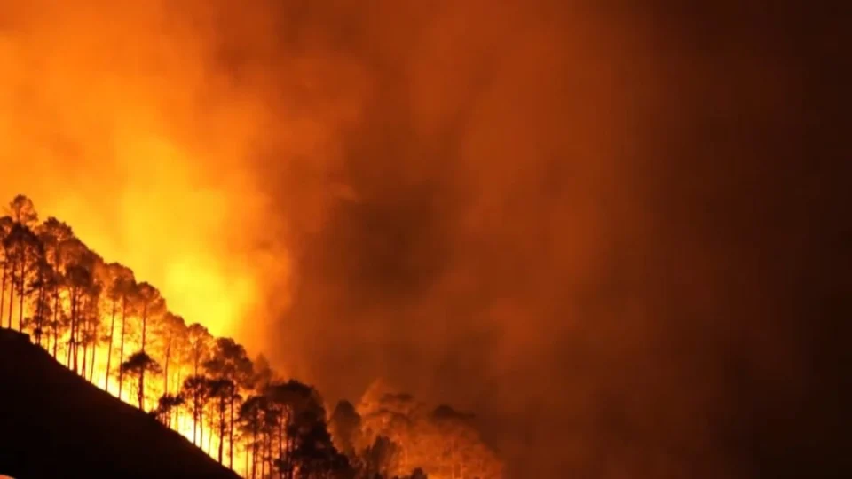Queimadas no Tocantins deixam mais de 6 mil famílias sem energia e afetam serviços essenciais