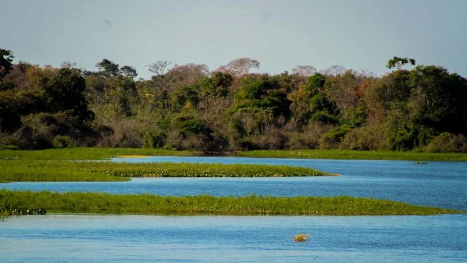 Produção de alimentos bate recorde em Rondônia enquanto desmatamento despenca