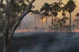 Roraima tem queda de 80% nos focos de incêndio em 2025; estiagem traz novos riscos