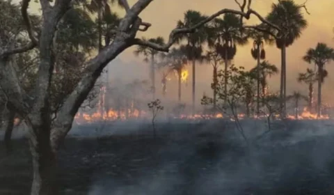 Roraima tem queda de 80% nos focos de incêndio em 2025; estiagem traz novos riscos