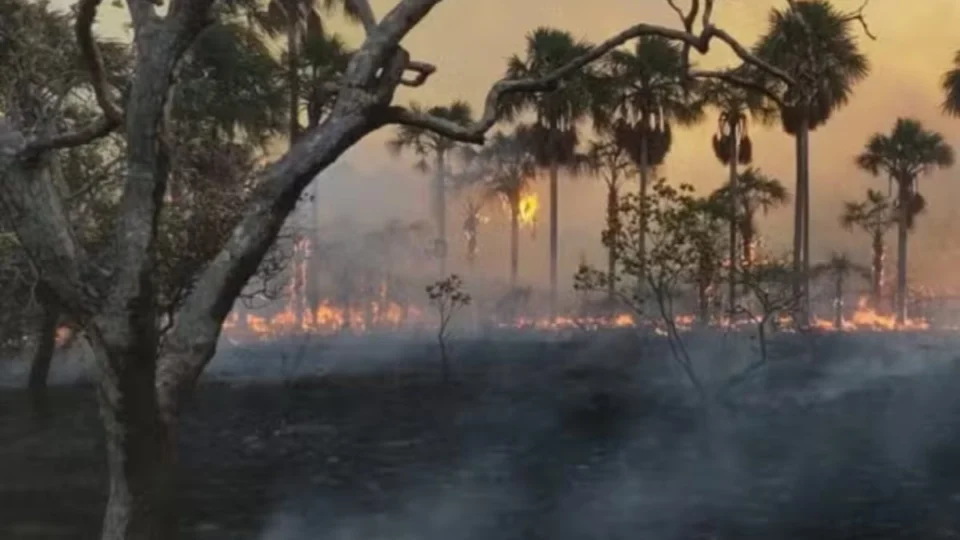 Roraima tem queda de 80% nos focos de incêndio em 2025; estiagem traz novos riscos