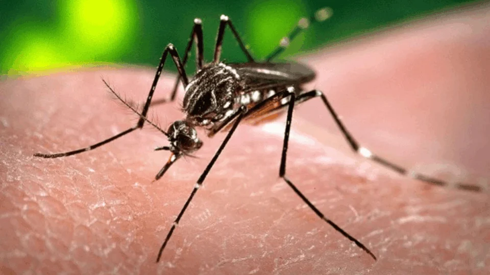 Auxílios financeiros às vítimas do Zika têm pedido de segurança jurídica no STF
