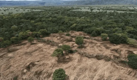 Brasil perde área maior que a Bolívia em 40 anos com destruição de vegetação nativa
